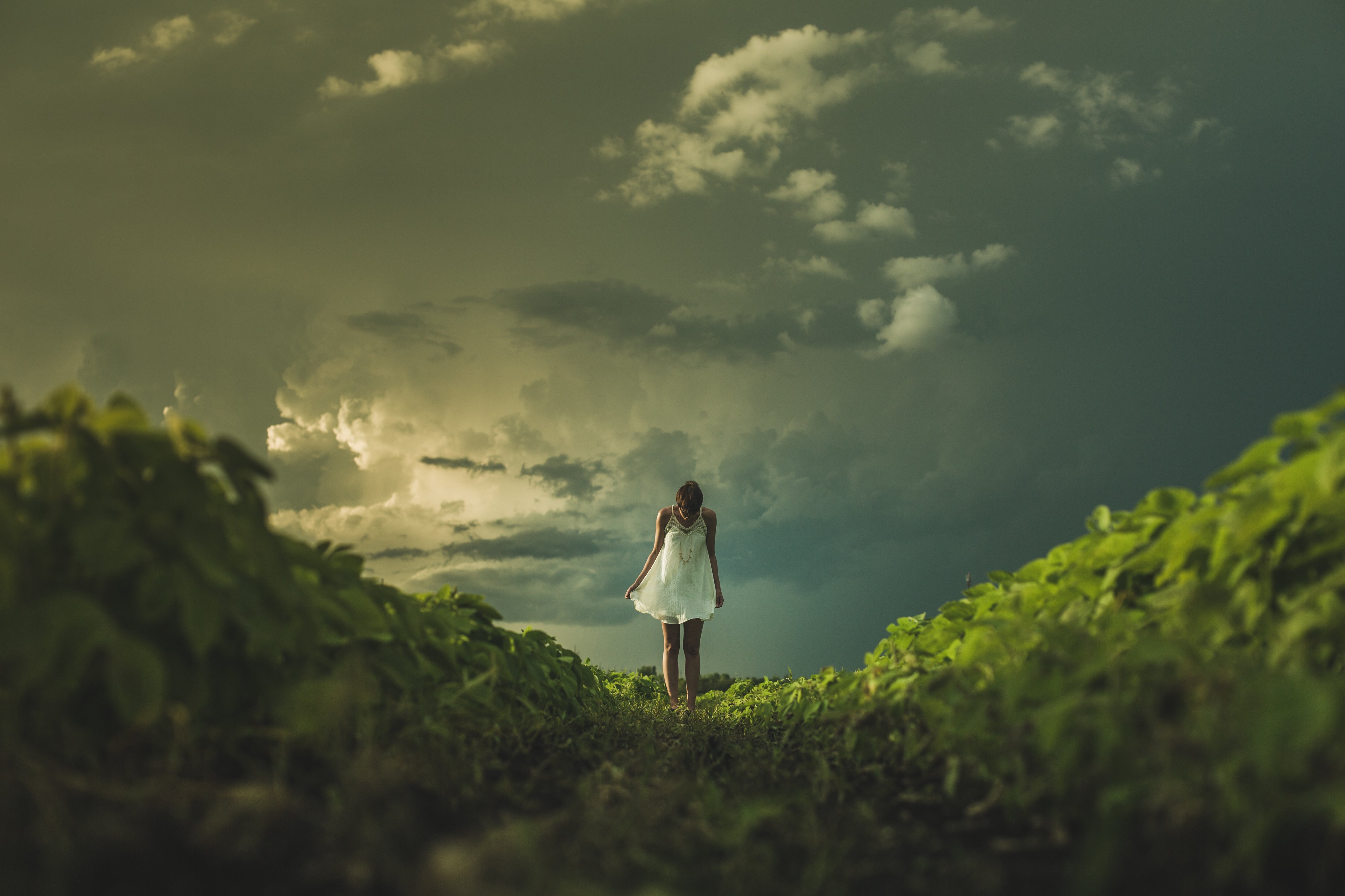 prairie-woman-at-sunset_4460x4460.jpg